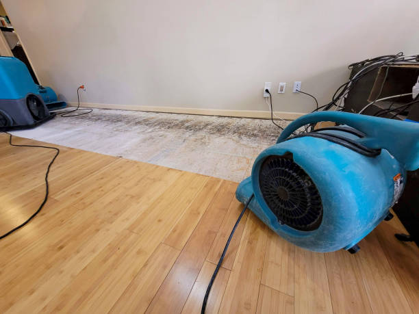 Professional Water Damage Repair technician working in Miami, AZ